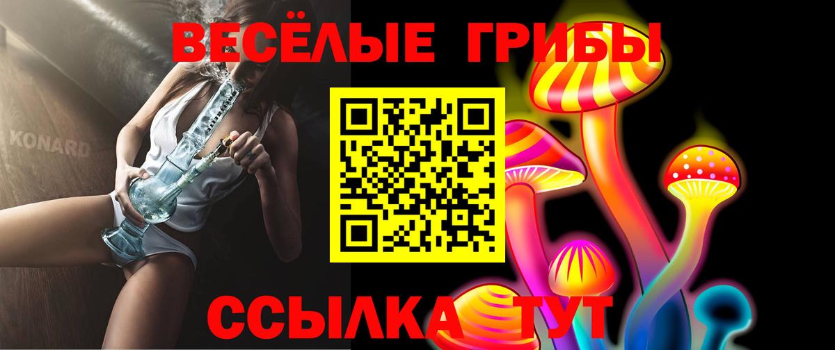 Галлюциногенные грибы Psilocybine cubensis Топки