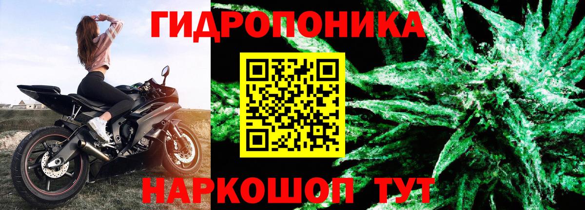 Шишки марихуана сатива  Канабис индика  Вход с VPN  Топки  Шишки марихуана Bruce Banner 